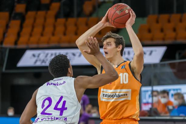 舍夫勒的壮 舍夫勒的壮